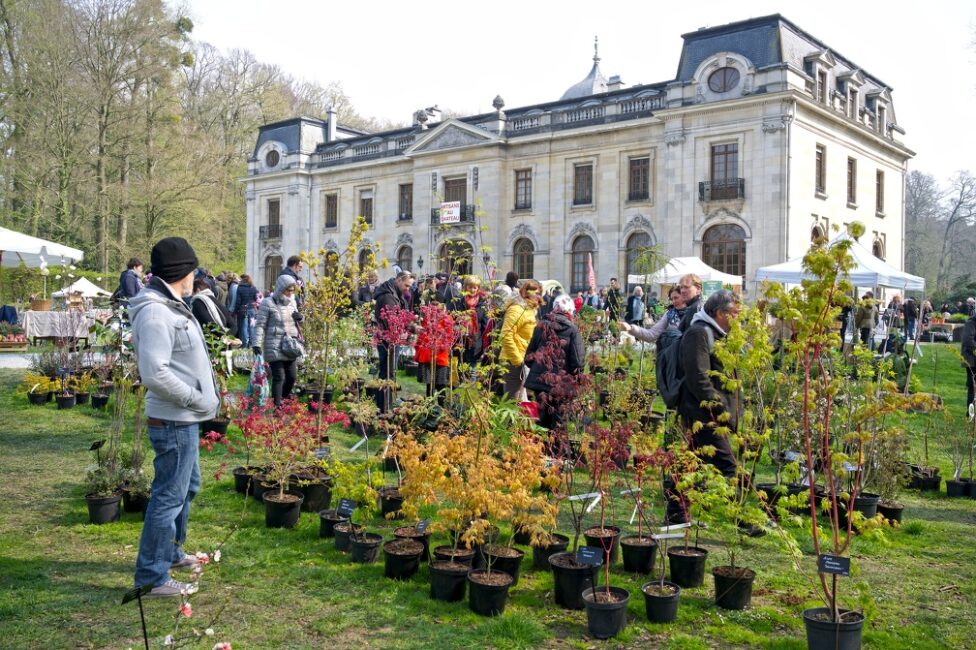 Tuteurs et supports - Pépinières Travers - N°1 de la plante grimpante made  in France, spécialiste Français des clématites