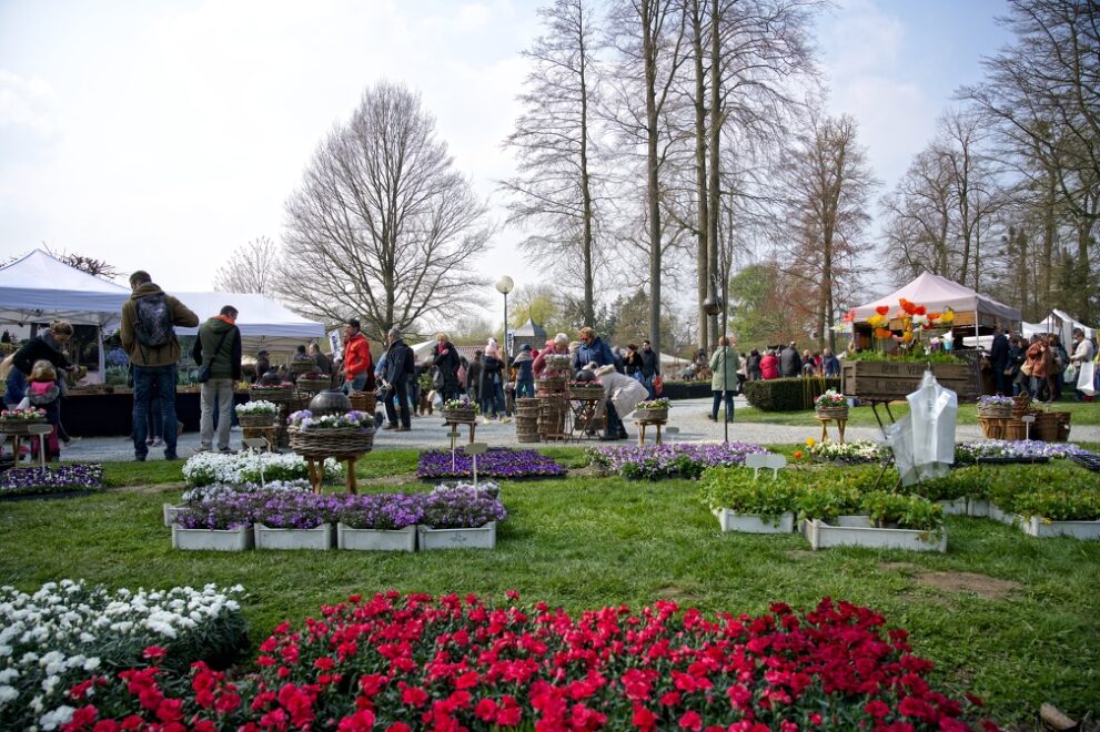 Le fer forgé au jardin : idées et inspirations - Promesse de Fleurs