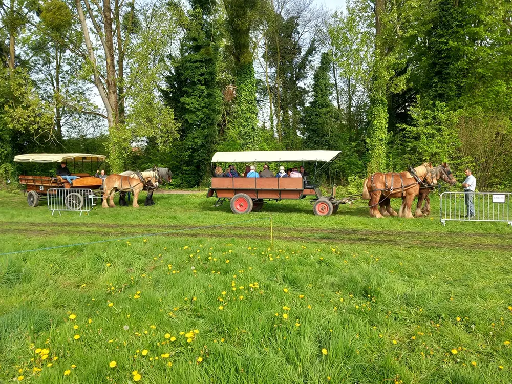 promenade calèche